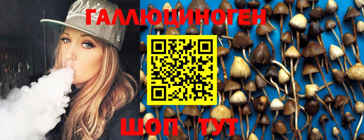 MDMA Дубна