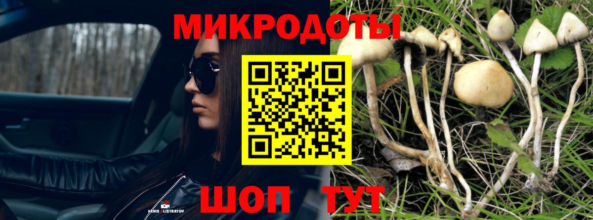 Галлюциногенные грибы Cubensis Дубна